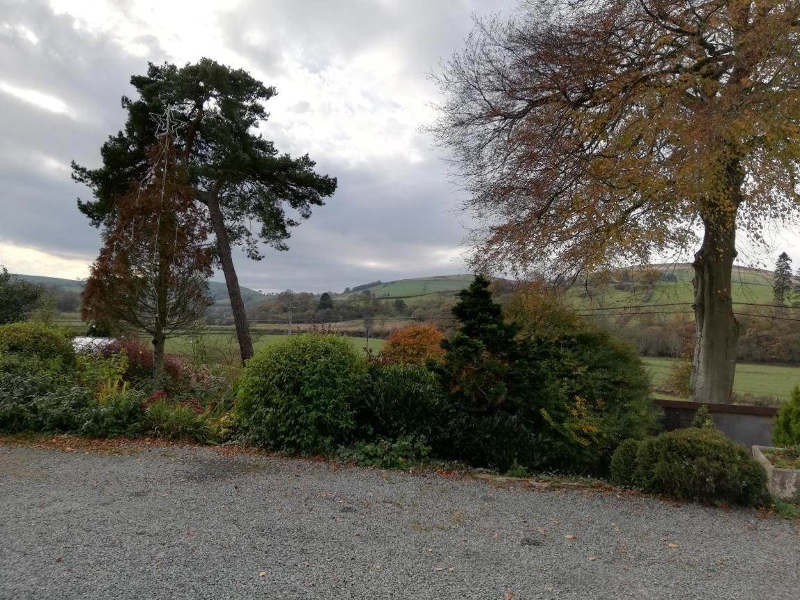 Lion Hotel Llanbister エクステリア 写真