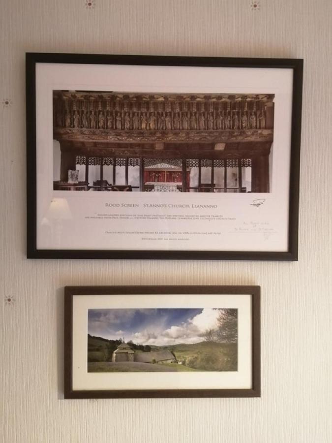 Lion Hotel Llanbister エクステリア 写真