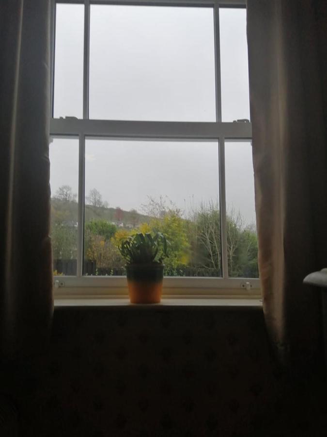 Lion Hotel Llanbister エクステリア 写真