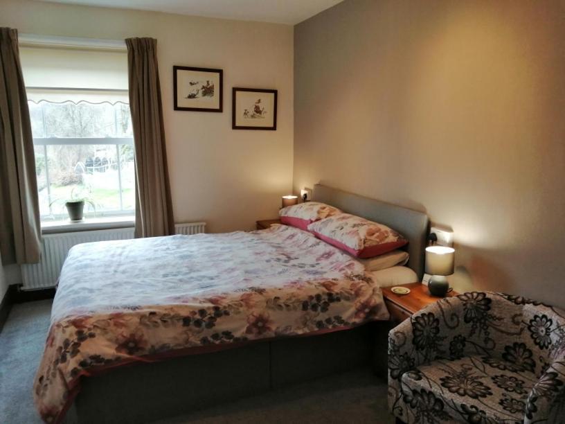Lion Hotel Llanbister エクステリア 写真