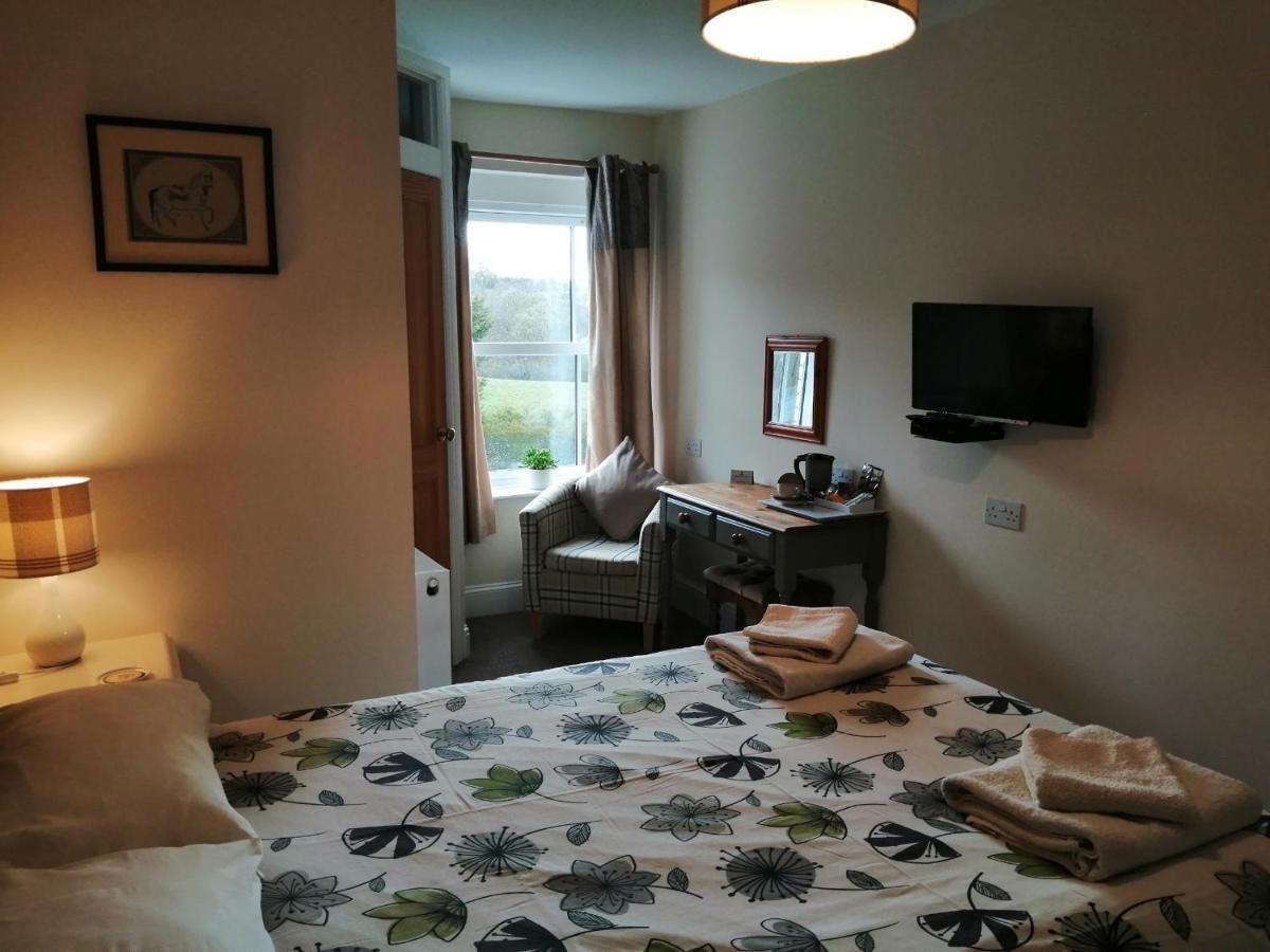 Lion Hotel Llanbister エクステリア 写真